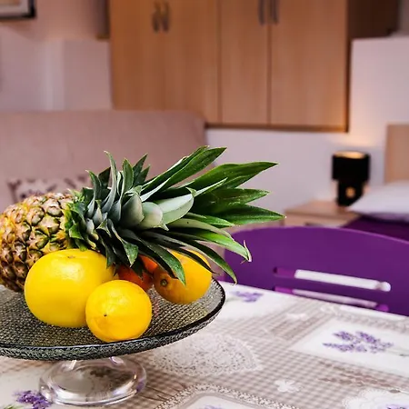 Zdenka Apartamento Vinišće